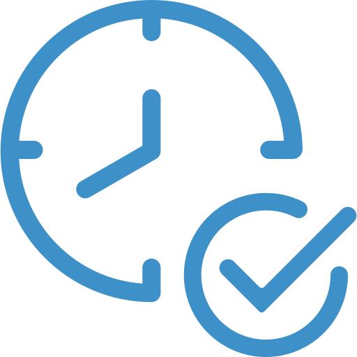 Rapiditate și promptitudine